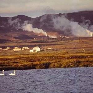 Whooper Swans on Lake Myvatn with Hot Springs Beyond, North Central Iceland, 20th century. Artist: CM Dixon