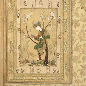Youth Seated in the Fork of a Blossoming Tree, 1560s. Artist: Iranian master
