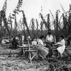 Hop Pickers in Brenchley, Kent