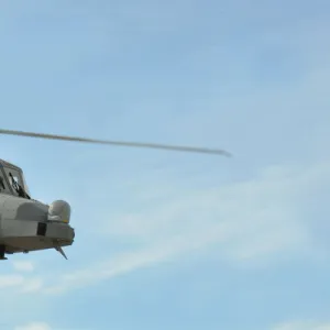 Wildcat Helicopter