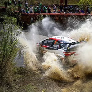2020 Rally Mexico