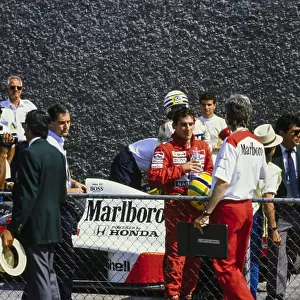 Formula 1 1989: Mexican GP