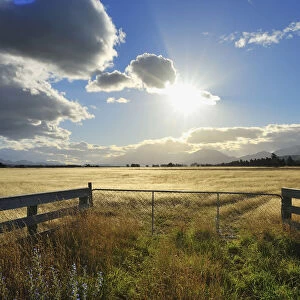 Cattle Gate with Sun in the Summer, Seddon, Marlborough, South Island, New Zealand