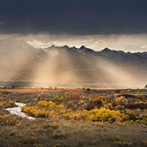 Coast Mountain Range with rays of sunlight beaming across the autumn tundra, Alaska, USA