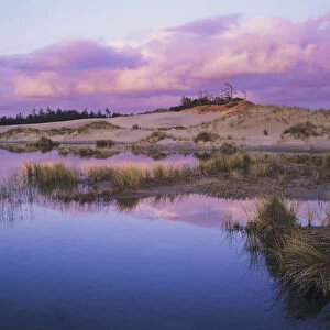 An Ephemeral Pool Reflects The Morning Sky; Reedsport, Oregon, United States Of America