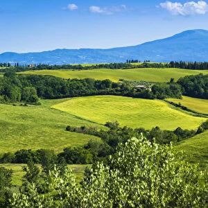 Farming country near San Giovanni D Asso, Tuscany, Italy