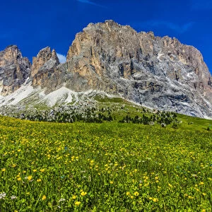 Grassy mountain side at the Sella Pass with the jagged mountain tops of the Dolomites in South Tyrol, Italy