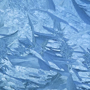Ice Patterns Formed On Glass After A Hard Frost; Nelson, Wakefield, New Zealand