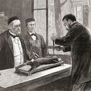 Louis Pasteur Experiment Rabbit Chloroformed