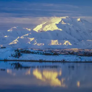 Morning light on snow covered Denali Mountain, Denali National Park, Alaska, USA