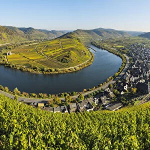 Moselle River, Mosel Valley and Bremm, Cochem-Zell, Rhineland-Palatinate, Germany