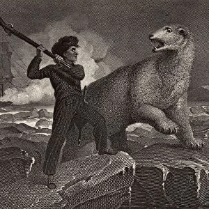 Nelsons Encounter With A Bear. Horatio Nelson, Lord Nelson, Viscount Nelson, 1758-1805. British Naval Commander. Illustration By Westall. From The Book The Life Of Nelson By Robert Southey Published London, 1883