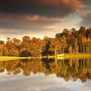 Trees Lining The Waters Edge Reflected In The Water In Autumn; North Yorkshire, England