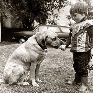 2 year old Edward Turner feeding an ice cream to his pet labrador Glen after removing his