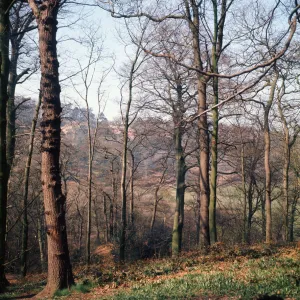 Cheshire Photo Mug Collection: Alderley Edge