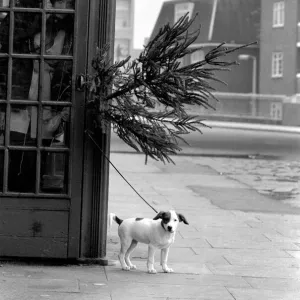 December Gallery: 22 Dec 1972