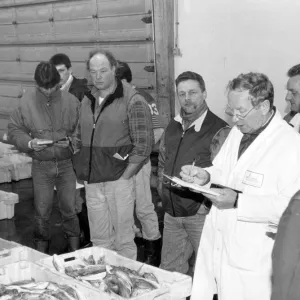 June Gallery: 1 Jun 1985