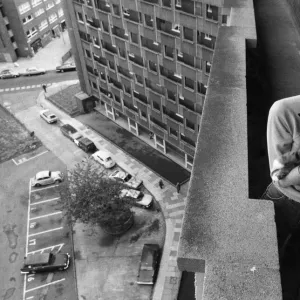 August Gallery: 18 Aug 1980