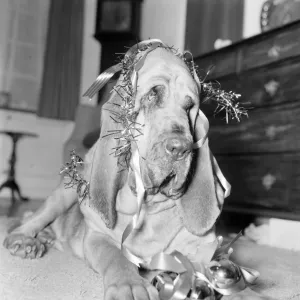 December Gallery: 18 Dec 1972