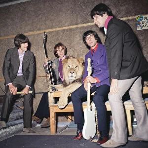 British rock group The Troggs with their rent a lion during the recording of their single