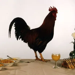 A Cockerel standing on a table next to a bowl of cornflakes, a glass of orange juice