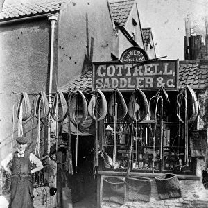 Cottrell s, the Bristol saddlers, 1899