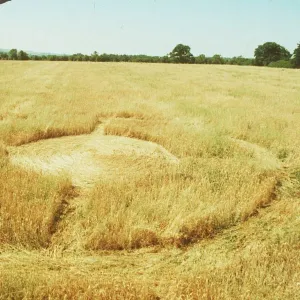 Crop Circles 1990