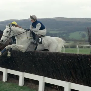 Desert Orchid clears a jump during the Cheltenham Gold Cup race 15th March 1990