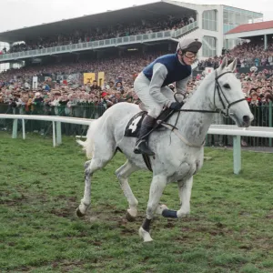 Desert Orchid and Richard Dunwoody finish 3rd in the 1990 Cheltenham Gold Cup