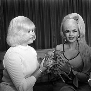 Diana Dors May 1967 actress with Jayne Mansfield In a Leeds Hotel