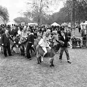Donkey Derby held for charity at Festival Gardens. April 1972 72-04585-003