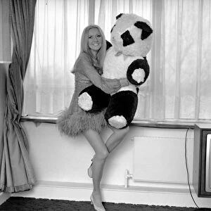 Entertainment television: Presenter Clodagh Rodgers at her home in London with her cuddly