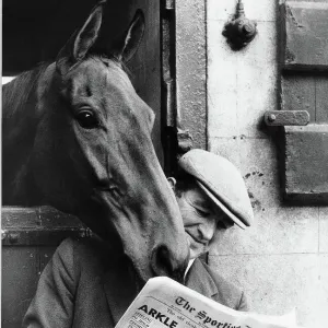 Famous racehorse Arkle looking over the shoulder of head lad Paddy Murray reading