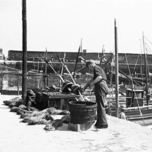 Fishermen prepare their nets on the East Wharf, Mevagissey July 1939