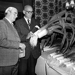 Fred Edwards, left, and Bill Bell judge the leeks during a gardening show held at The