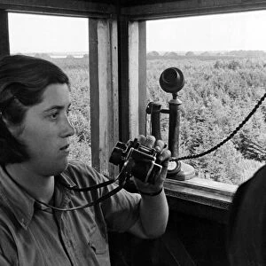 Girl fireguard of twelve million trees. From the top of a 55ft fire watch tower in