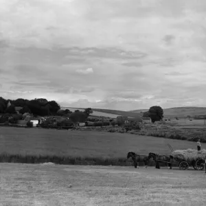 Haymaking near Southease 28th June 1939