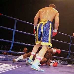 Herbie Hide being knocking out by Vitali klitschko and losing his WBO world heavyweight