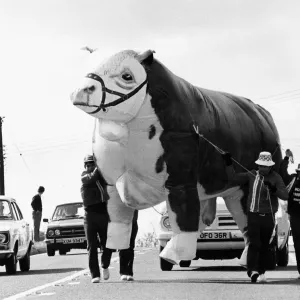 April Gallery: 21 Apr 1980