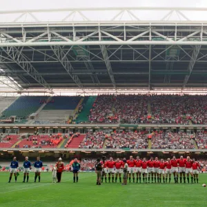 International friendly rugby match, Wales v South Africa. Wales won the match 29 - 19