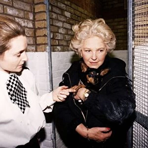 Katie Boyle television presenter carries a small dog into police pound for strays