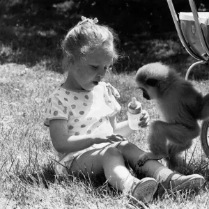June Gallery: 10 Jun 1985