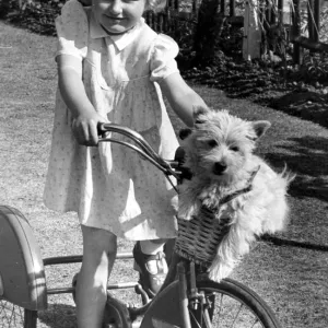 Fille jeune chevauchant son vélo avec son chien de compagnie dans le panier sur les poignées avant. Fille jeune chevauchant son vélo avec son chien de compagnie dans le panier sur les poignées avant.