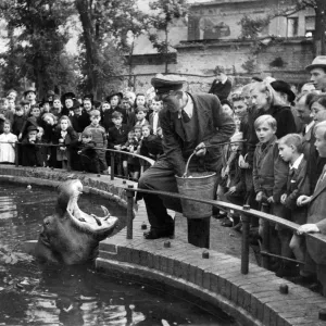 L'animal avec la gueule grande ouverte est le zoo de Berlin. L'animal avec la gueule grande ouverte est le zoo de Berlin.