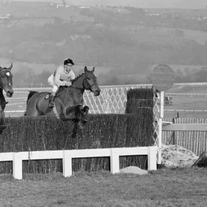 El Copa de Oro de Cheltenham 1965. Arkle (a la derecha) visto liderando Mill House sobre el último. El Copa de Oro de Cheltenham 1965. Arkle (a la derecha) visto liderando Mill House sobre el último.