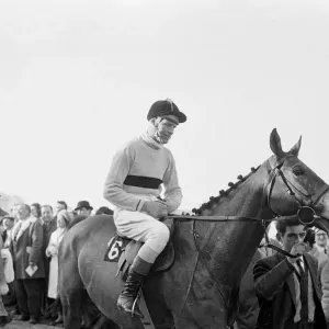 El Copa de Oro de Cheltenham 1965. Arkle montado por Pat Taaffe visto después de ganar la carrera. El Copa de Oro de Cheltenham 1965. Arkle montado por Pat Taaffe visto después de ganar la carrera.