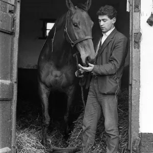 El famoso caballo de carreras Arkle con un muchacho de establo en las cuadras de Tom Dreaper. El famoso caballo de carreras Arkle con un muchacho de establo en las cuadras de Tom Dreaper.
