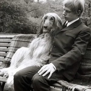 Afghan Hound and Owner Park Bench Print May 1967 Afghan Hound and Owner Park Bench Print May 1967