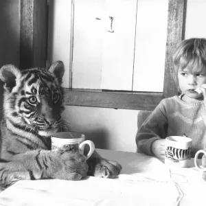 Megan Whittaker with Indian Tiger Cub Print, April 1988 Megan Whittaker with Indian Tiger Cub Print, April 1988