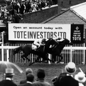 Scobie Breasley on Charlottetown Epsom Derby Print 1966 Scobie Breasley on Charlottetown Epsom Derby Print 1966